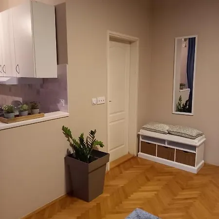 Story,pozarevacka Belgrade